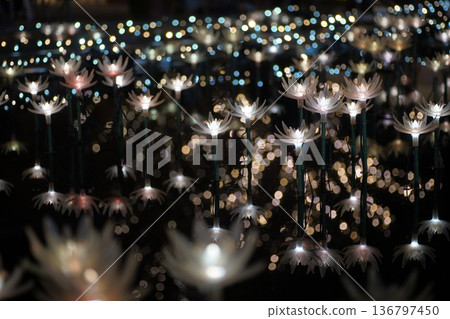 足利花公園的燈光秀 足利花公園的燈光秀 136797450