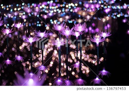Illuminations at Ashikaga Flower Park 136797453