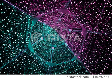 足利花公園的燈光秀 136797464