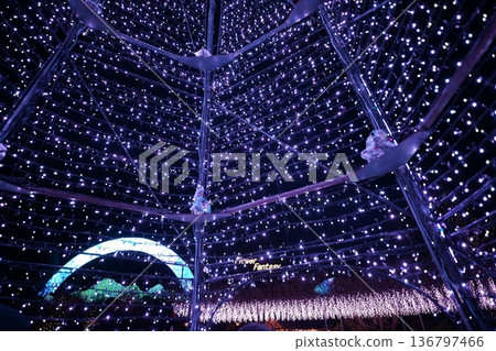 足利花公園的燈光秀 136797466