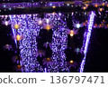 Illuminations at Ashikaga Flower Park 136797471