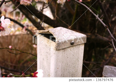 Replacing gatepost caps DIY Replacing gatepost caps DIY 136797476