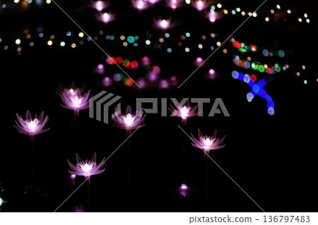 Illuminations at Ashikaga Flower Park Illuminations at Ashikaga Flower Park 136797483