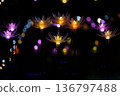 Illuminations at Ashikaga Flower Park 136797488