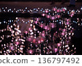 Illuminations at Ashikaga Flower Park 136797492