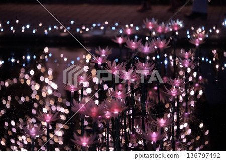 Illuminations at Ashikaga Flower Park Illuminations at Ashikaga Flower Park 136797492