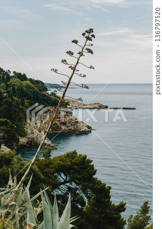 Amazing view of the Adriatic sea and rocks in Dubrovnik, Croatia. Amazing view of the Adriatic sea and rocks in Dubrovnik, Croatia. 136797520