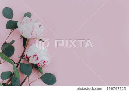 Beautiful white with pink peonies on a pink pastel background. Beautiful white with pink peonies on a pink pastel background. 136797525