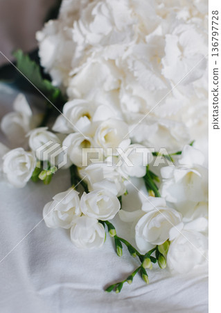 Beautiful white Freesia and Hydrangea flowers on a white background in a morning sunlight. Beautiful white Freesia and Hydrangea flowers on a white background in a morning sunlight. 136797728