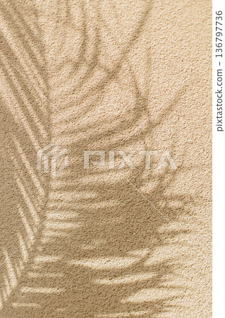 Shadow of palm leaves in a sunlight. Summer background. 136797736