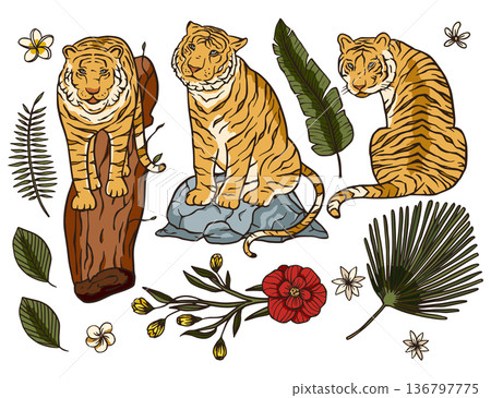 Tiger cartoon tropical vector set. 136797775