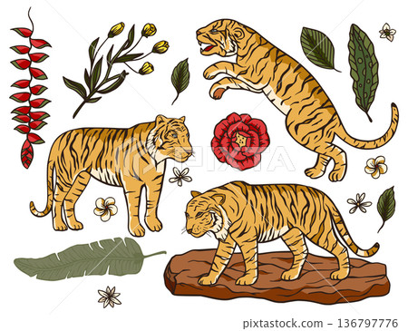 Tiger cartoon tropical vector set. 136797776