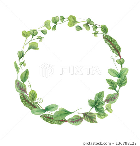 Salad leaves watercolor wreath on isolated background. Garden healthy plants as ingredient for soup, salads. Organic vegetable herb illustration for recipes, menu. Frame with copy space for text. 136798122