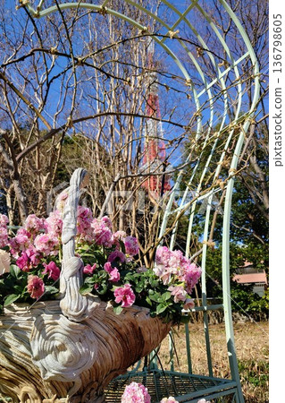 用鮮花的風景 136798605