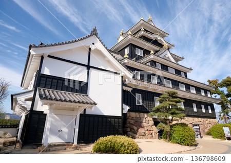 岡山城1,岡山縣岡山市,2025年3月 岡山城1,岡山縣岡山市,2025年3月 136798609