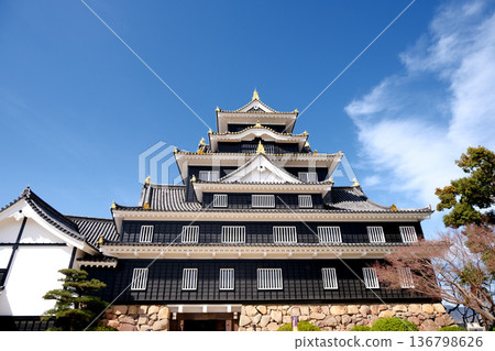 岡山市，岡山縣_岡山城_2025年3月15日 136798626