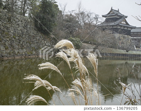 The symbol of Nara! The majestic Yamatokoriyama Castle The symbol of Nara! The majestic Yamatokoriyama Castle 136799205