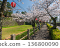 Cherry blossom of sakura tree tunnel by Shimabara castle 136800090