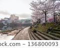 Ureshino Onsen Park with colorful cherry blossom in spring 136800093