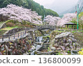 Okawachiyama garden by waterfall and cherry blossom, Imari 136800099