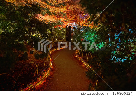 Japanese couple view autumn night illumination at Hogonin, Arashiyama Japanese couple view autumn night illumination at Hogonin, Arashiyama 136800124