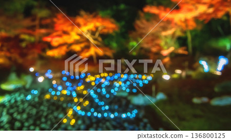 Defocused rock garden in fall light up at Hogonin temple, Arashiyama Defocused rock garden in fall light up at Hogonin temple, Arashiyama 136800125