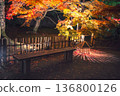 Autumn illumination at night of Hogonin temple, Arashiyama 136800126