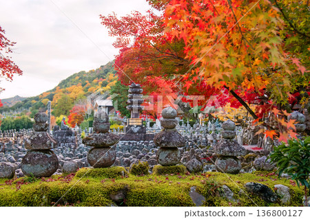 Stone wall by Adashino temple graveyard with autumn leaf, Arashiyama 136800127