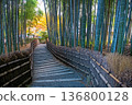 bamboo grove forest and yellow autumn leaf, Adashino temple, Arashiyama 136800128