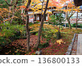 Iconic fall garden by pond and Jojakkoji Temple building, Arashiyama 136800133