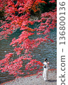 Japanese woman in  kimono by red maple leaf at autumn, Arashiyama 136800136