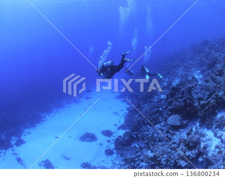 Highly transparent blue sea. Underwater scenery with multiple divers and bubbles. Scuba diving image. Highly transparent blue sea. Underwater scenery with multiple divers and bubbles. Scuba diving image. 136800234