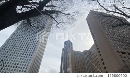 在建築物之間可以看到東京都政府大樓 在建築物之間可以看到東京都政府大樓 136800600