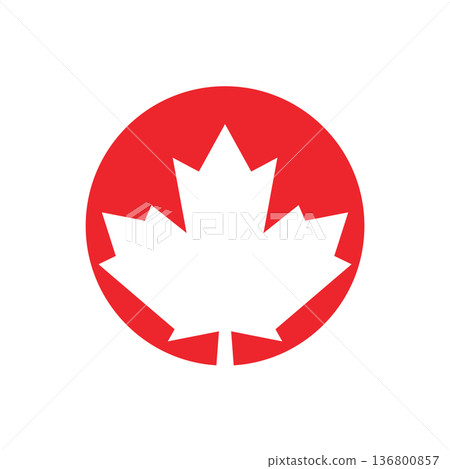 Pine Tree Canadian Maple Icon Vector Logo Template Pine Tree Canadian Maple Icon Vector Logo Template 136800857