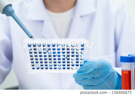 Scientist with cell culture in sample micro plate for research in science laboratory. Scientist with cell culture in sample micro plate for research in science laboratory. 136800875