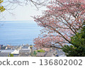 櫻花和大海 136802002