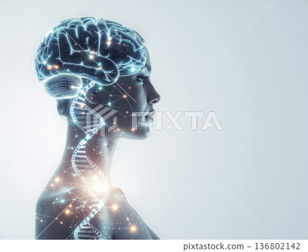 Image of the future of AI and neuroscience | Technology visuals that combine DNA and neural networks 136802142
