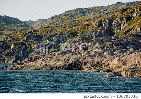 the coast of the Barents Sea at sunny weather, the rocky shore with colourful arctic carpet of moss, yagel, Tundra at autumn the coast of the Barents Sea at sunny weather, the rocky shore with colourful arctic carpet of moss, yagel, Tundra at autumn 136803330