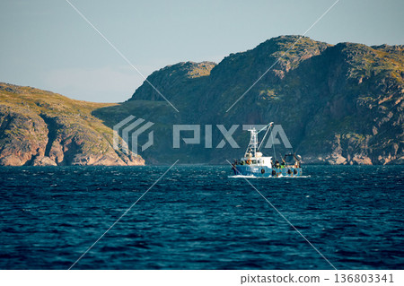 the coast of the Barents Sea, pleasure boats in the sea, the rocky shore with colourful arctic carpet of moss, yagel, Tundra at autumn the coast of the Barents Sea, pleasure boats in the sea, the rocky shore with colourful arctic carpet of moss, yagel, Tundra at autumn 136803341