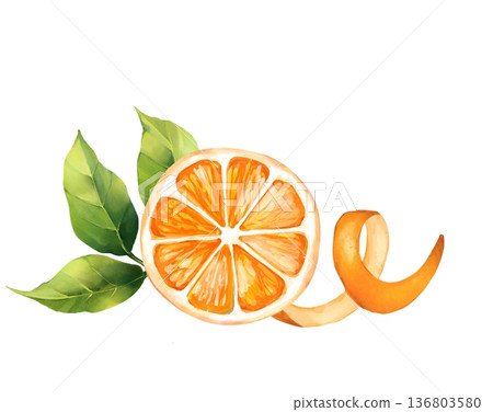 Hand drawn digital illustration of juicy orange citrus slice, twisted orange peel zest and fresh green leaves 136803580