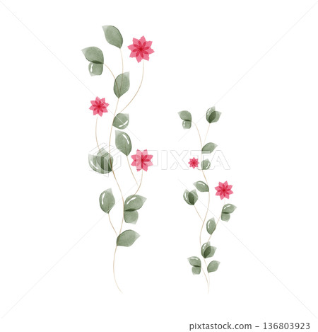 Delicate watercolor depiction of two intertwining plant stems. 136803923