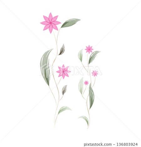 Elegant watercolor plants featuring multiple vibrant pink flowers with simple petals. Long, slender green leaves gracefully stem from thin stalks against a clean white background. Elegant watercolor plants featuring multiple vibrant pink flowers with simple petals. Long, slender green leaves gracefully stem from thin stalks against a clean white background. 136803924
