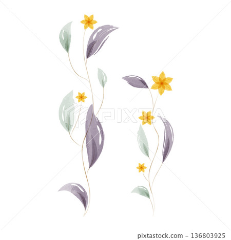 Watercolor artwork depicts two elegant plant stems growing upward. Watercolor artwork depicts two elegant plant stems growing upward. 136803925