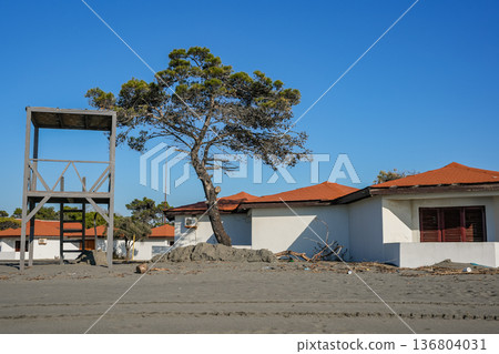 Beach Huts with Lifeguard Tower and Tree Beach Huts with Lifeguard Tower and Tree 136804031