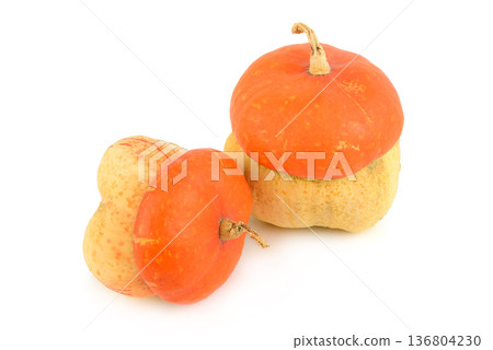 Pair of Decorative Turban Pumpkins Isolated on White Background Pair of Decorative Turban Pumpkins Isolated on White Background 136804230