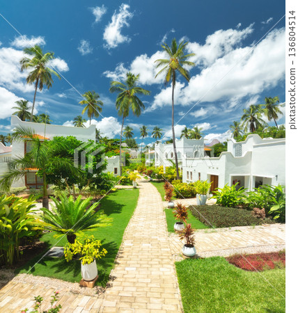 Aerial view of tropical resort with white villas and palm trees 136804514
