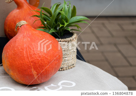 Two orange fresh pumpkins for decor on the table. Autumn nature background for Halloween restauran decoration. Two orange fresh pumpkins for decor on the table. Autumn nature background for Halloween restauran decoration. 136804878