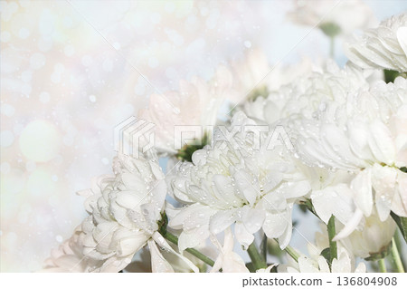 Abstract spring floral background, banner, minimal holiday concept. Greeting card for mother's day, happy birthday, wedding, gift for loved ones, place for text, Abstract spring floral background, banner, minimal holiday concept. Greeting card for mother's day, happy birthday, wedding, gift for loved ones, place for text, 136804908