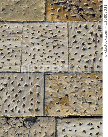 Rough Limestone Wall Showcasing Erosion Marks And Rustic Charm Rough Limestone Wall Showcasing Erosion Marks And Rustic Charm 136805031