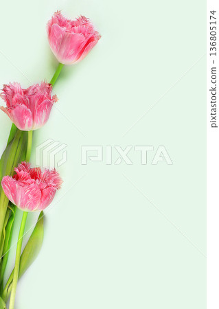 Abstract flower composition, still life, spring banner, TULIPS bouquet with place for text, minimal holiday concept. Mother's day card, women's day, happy birthday, wedding, selective focus Abstract flower composition, still life, spring banner, TULIPS bouquet with place for text, minimal holiday concept. Mother's day card, women's day, happy birthday, wedding, selective focus 136805174